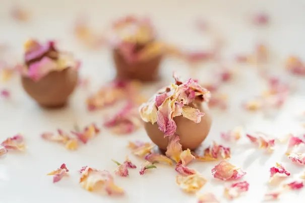 Kasino Chilli Spins Android/iOS Sovellus